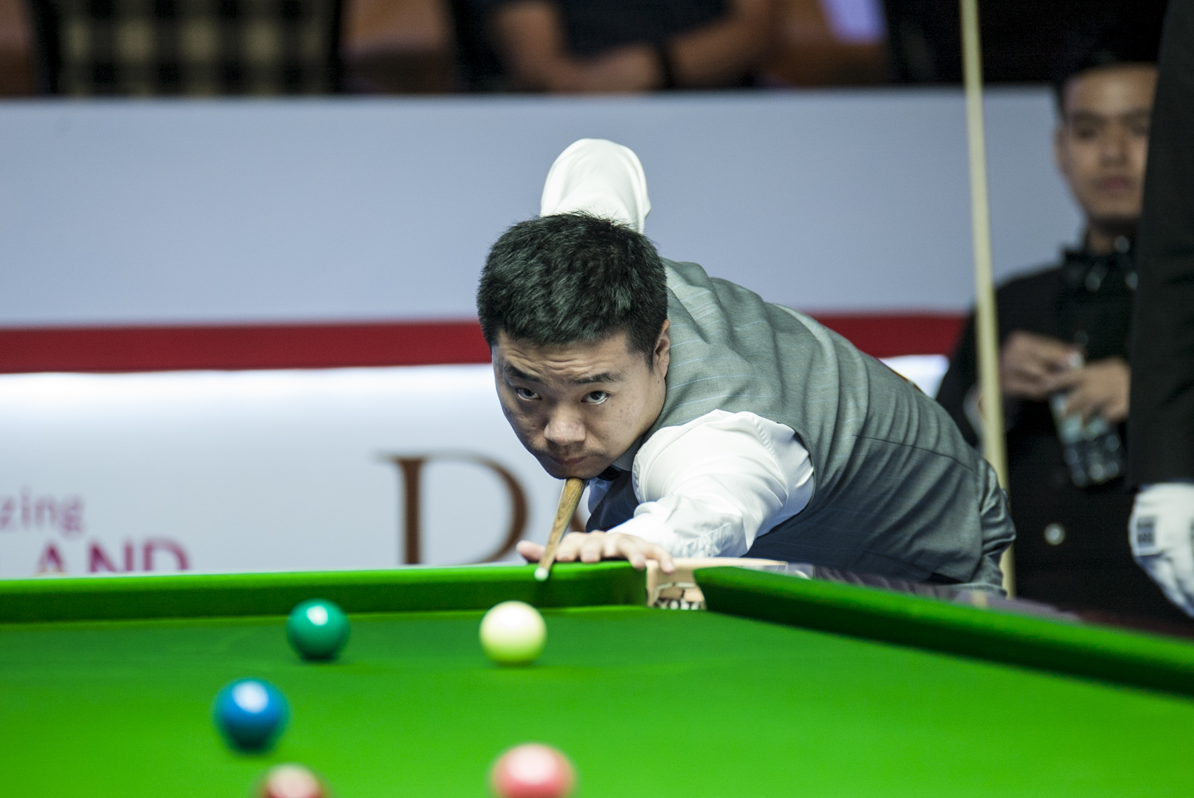 如果你需要 如果你需要